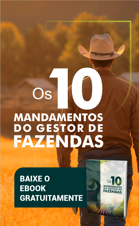 Curso 3 - Ebook Gratuito